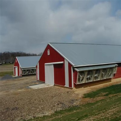 Пташник сталевої конструкції